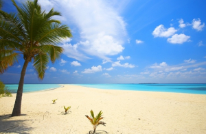 Maldives_Paradise